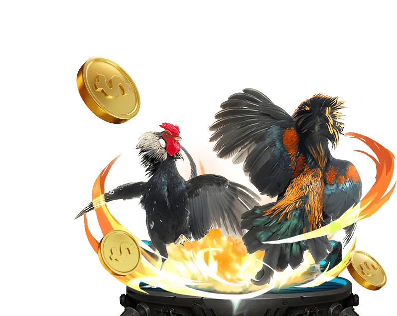 Live Casino bong88-com ibet